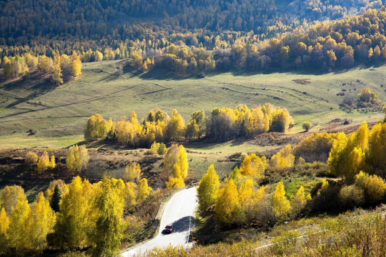 新疆，梦想起航之地，学习铸就自信与辉煌