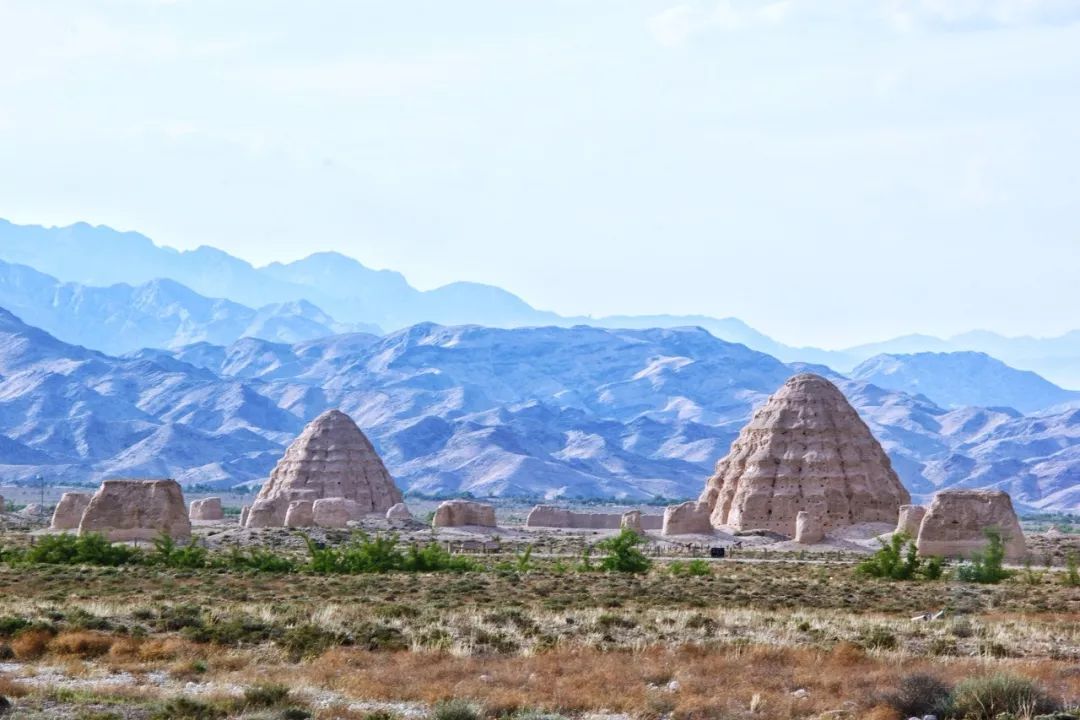 宁夏阳光下的欢声笑语