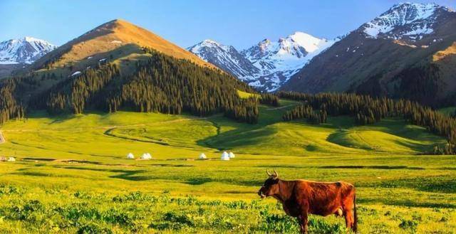 新疆小巷秘境小店的味蕾视觉之旅