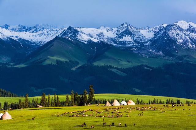 新疆小巷秘境小店的味蕾视觉之旅